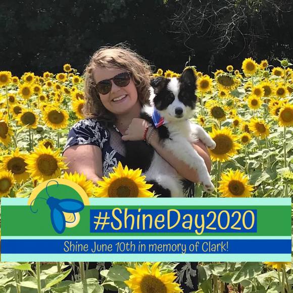 Meet your Posher, Lindsey - Picture 1 of 1